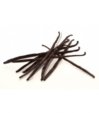 vanille-bourbon-gousse