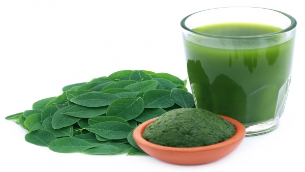 Jus de Moringa Recette Tonic